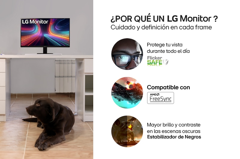 Información Monitor IPS FHD - 24MR400